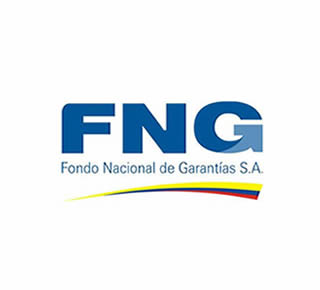 Logo de FNG