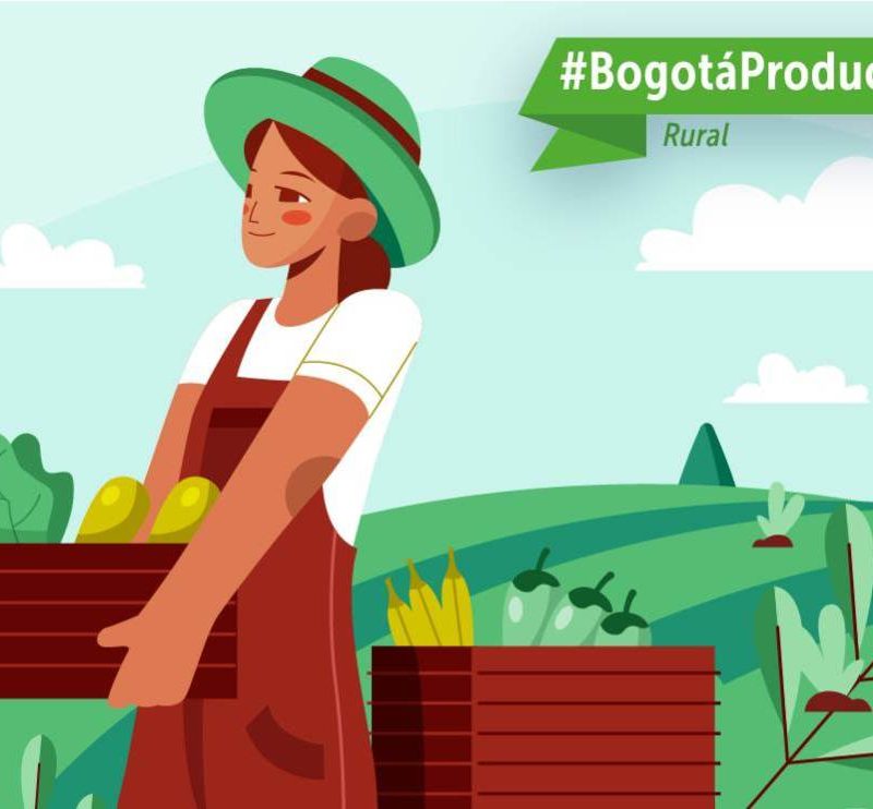 Imagen relacionada con actividad de abastecimiento de alimentos