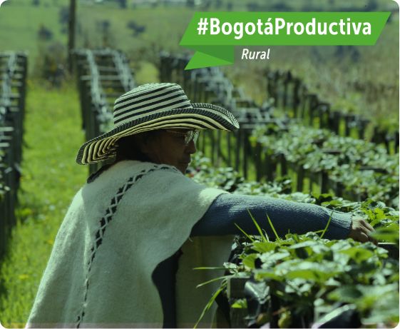 Bogota_rural tarjeta