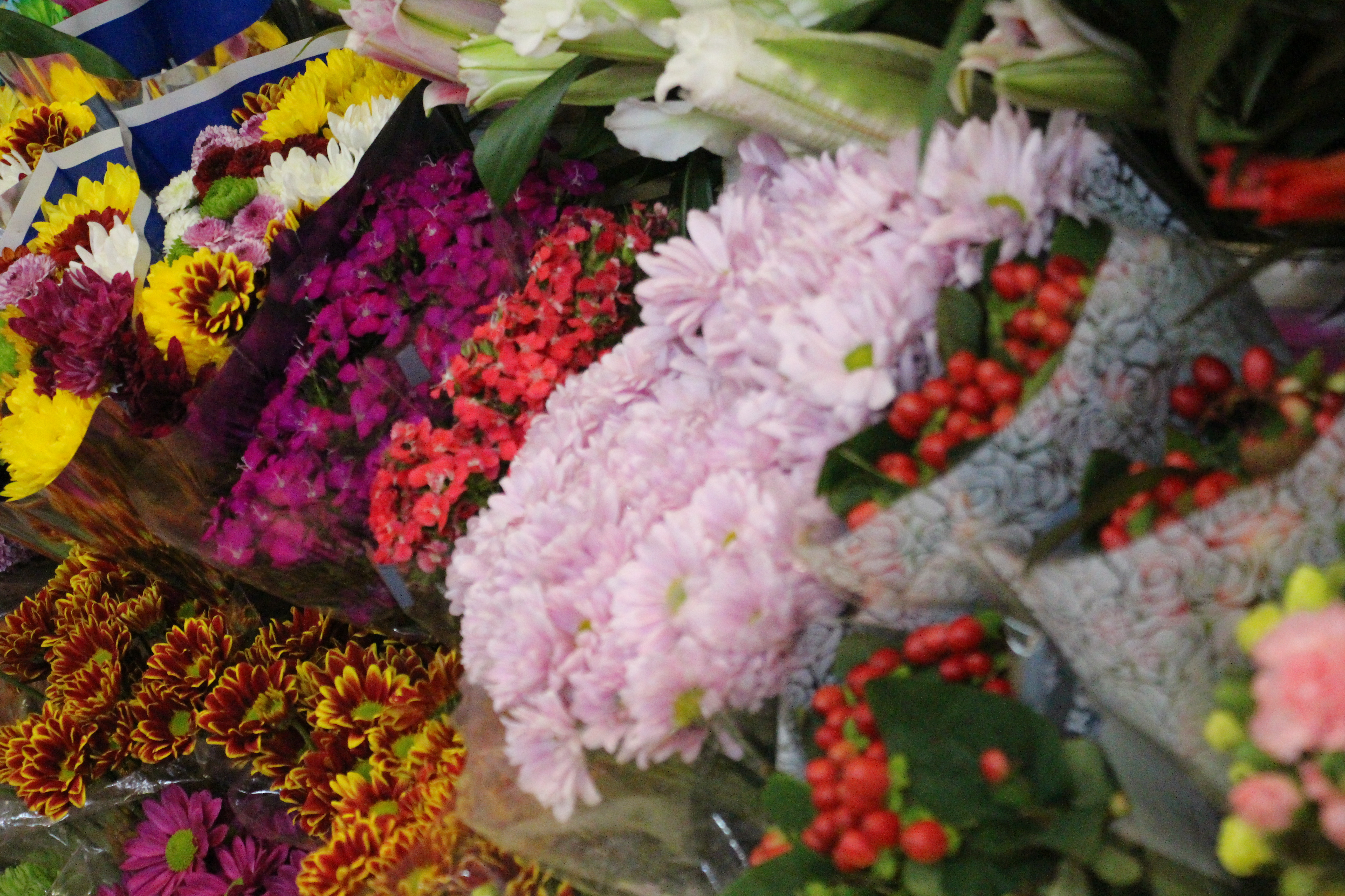 Imagen 10 de Amanda Cuncanchón