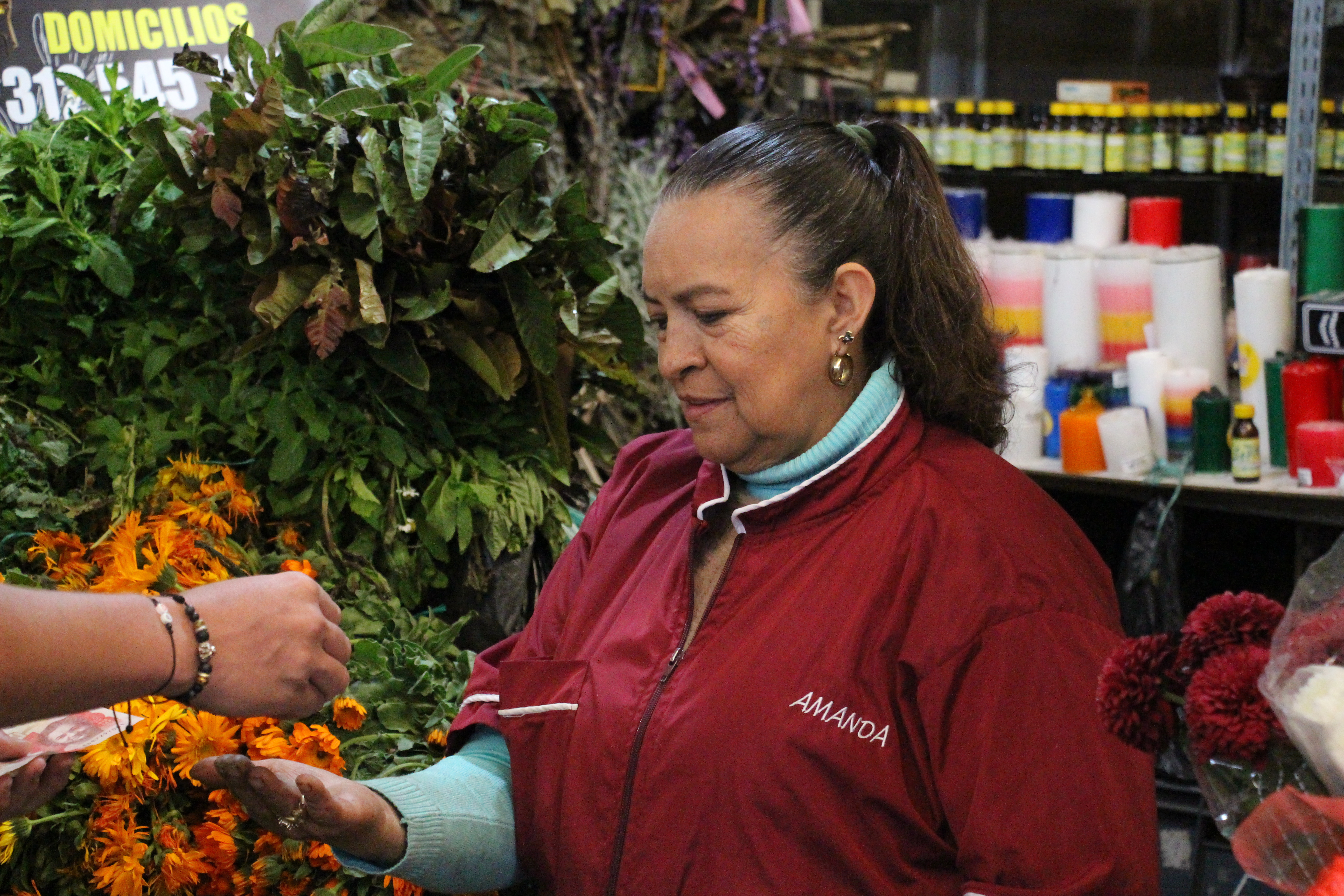 Imagen 13 de Amanda Cuncanchón