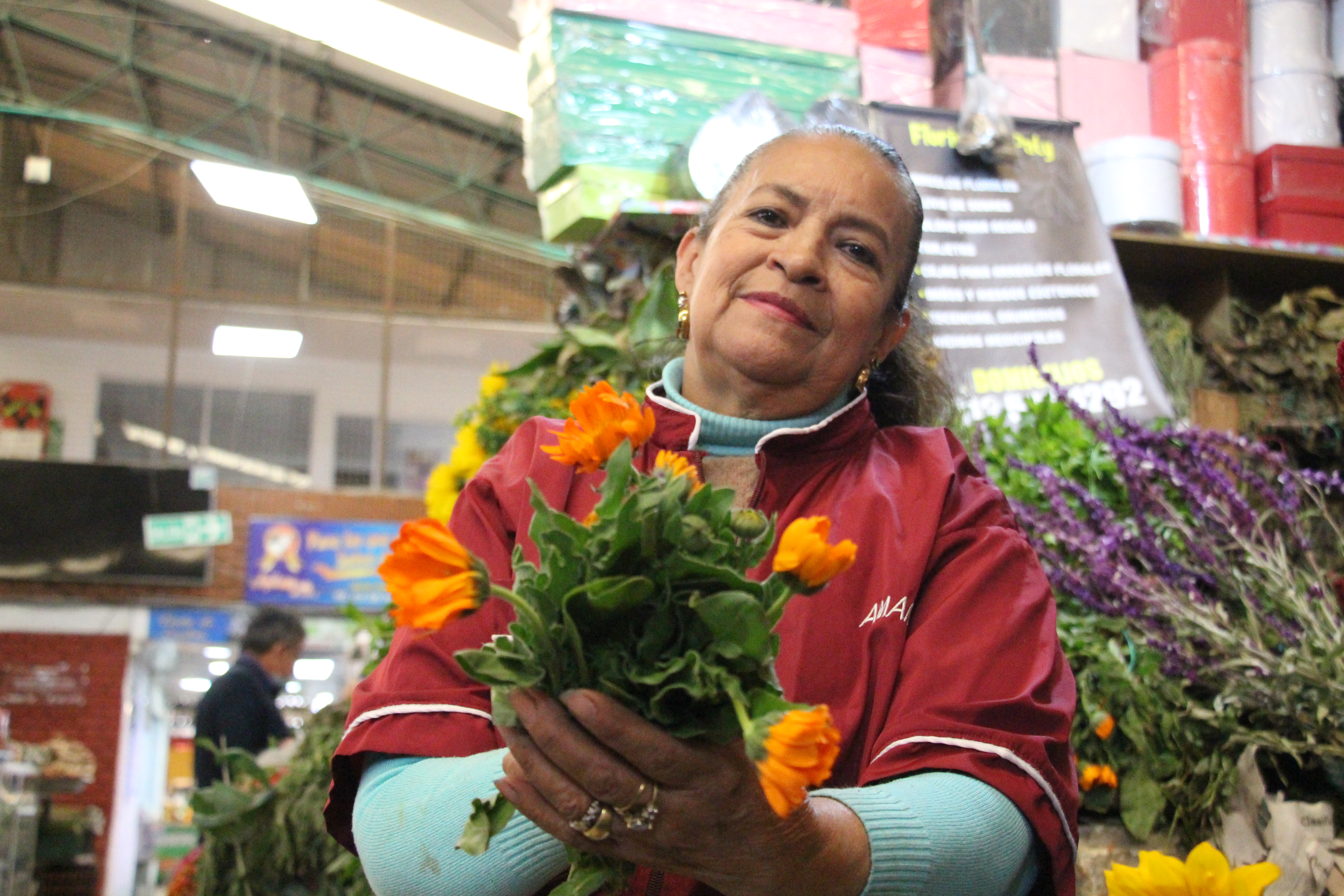 Imagen 15 de Amanda Cuncanchón