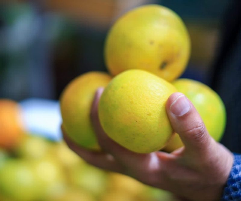 Imagen relacionada con alimentos de canasta familair