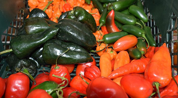 Imagen relacionada con alimentos