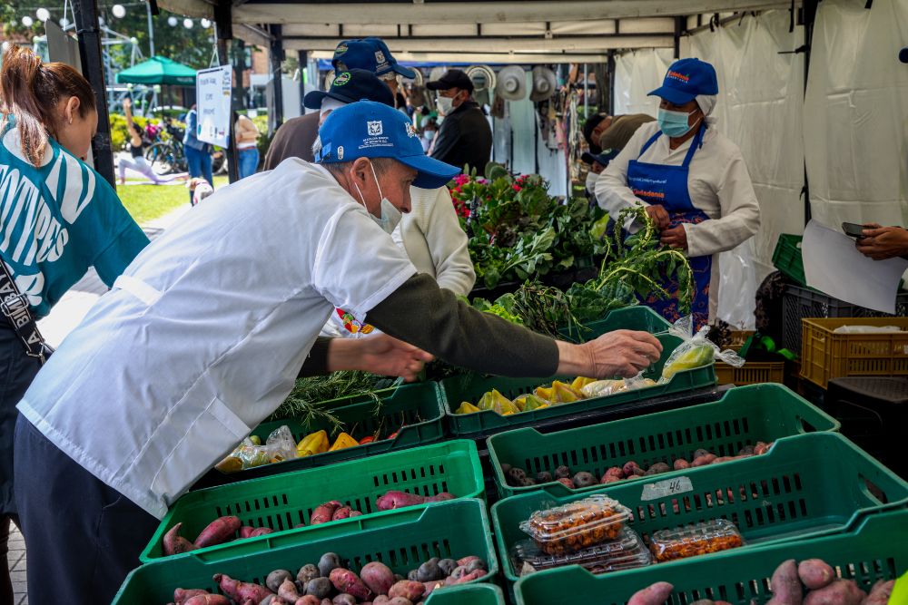 Imagen relacionada con venta de frutas y verduras