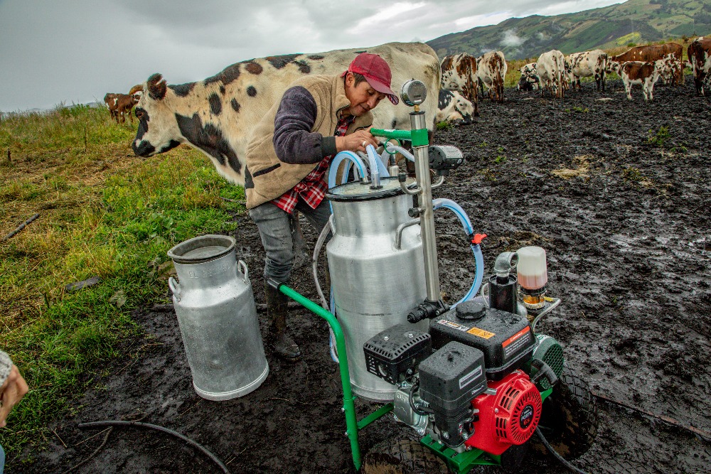 Imagen relacionada con una productora rural de lácteos