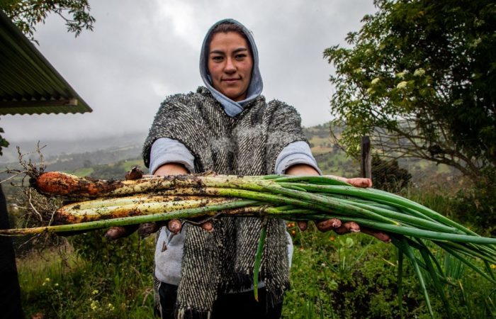 Imagen relacionada con una mujer productora rural que muestra su cosecha de cebolla