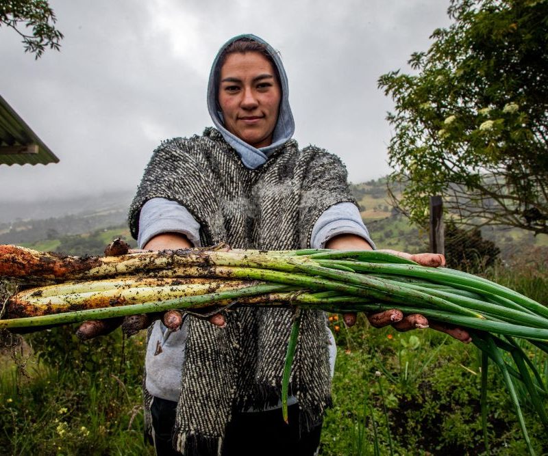Imagen relacionada con una mujer productora rural que muestra su cosecha de cebolla