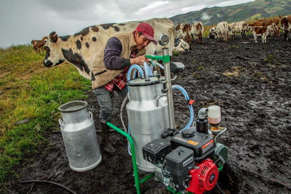Imagen relacionada con una productora rural de lácteos