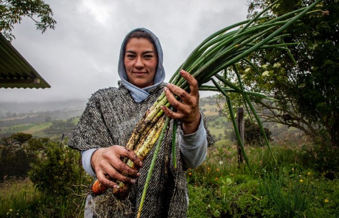 Imagen relacionada con productora rural que presenta su cosecha