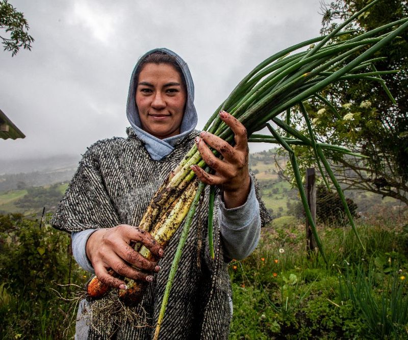 Imagen relacionada con productora rural que presenta su cosecha