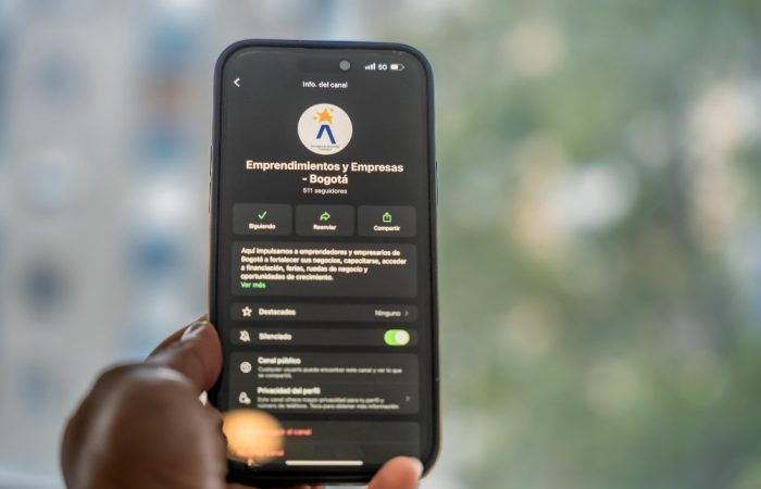 Imagen relacinada con pantalla de inicio de un canal de WhatsApp
