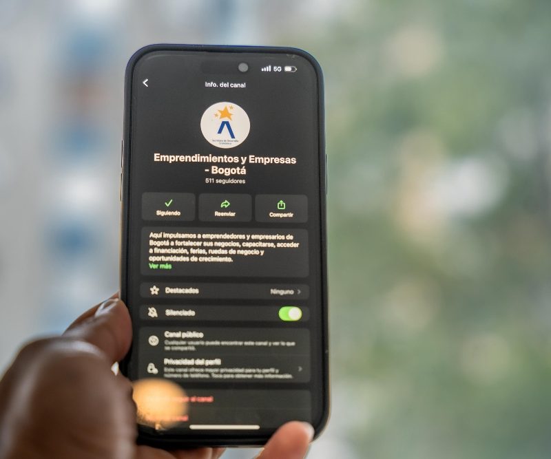 Imagen relacinada con pantalla de inicio de un canal de WhatsApp