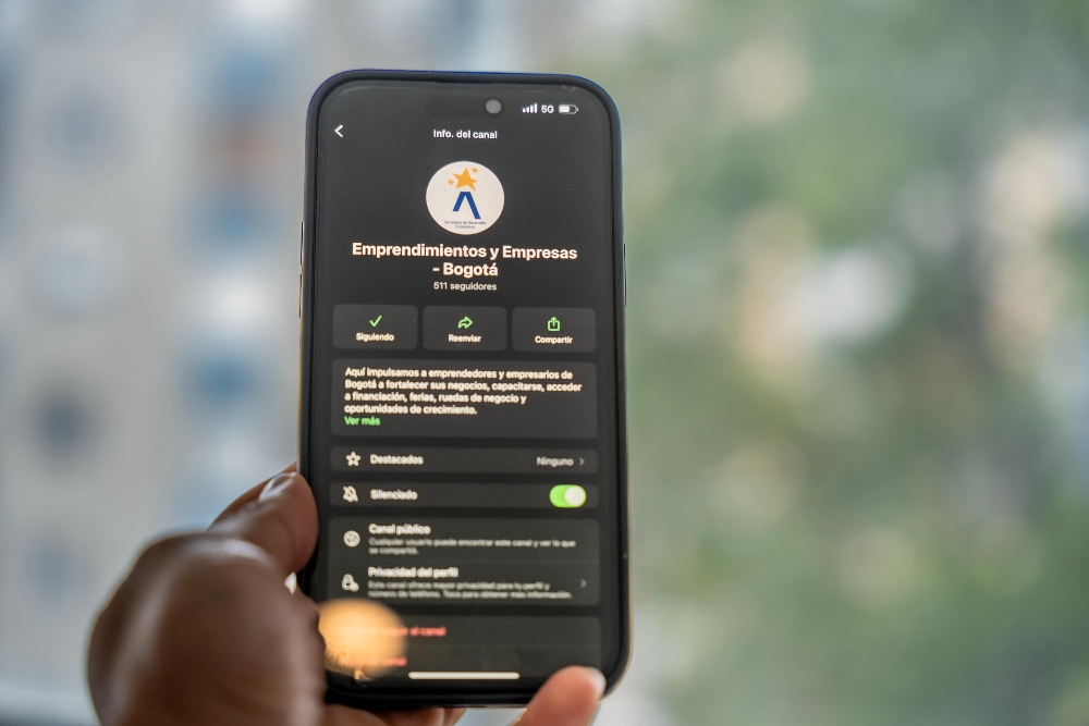 Imagen relacinada con pantalla de inicio de un canal de WhatsApp