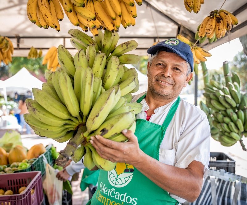 Imagen relacionada con un productor rural con un racimo de plátanos
