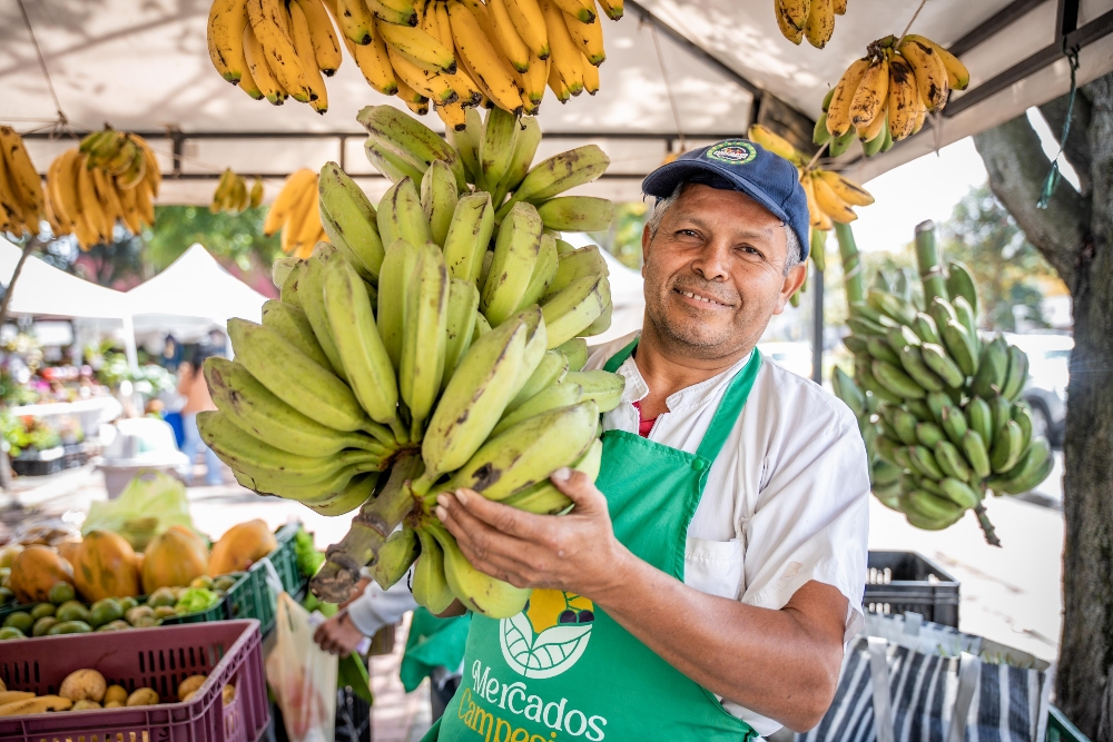 Imagen relacionada con un productor rural con un racimo de plátanos