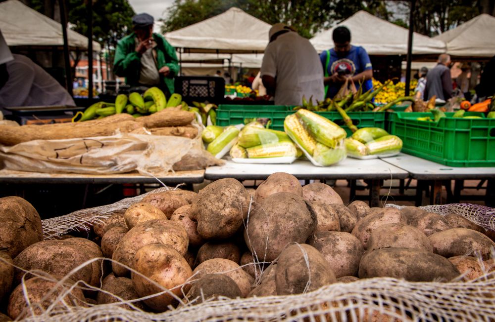 Imagen relacionada con punto de Mercado Campesino