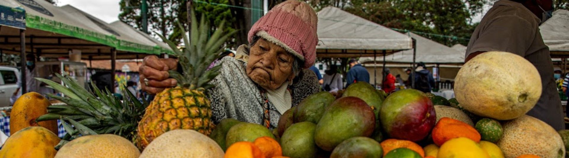 Banner relacionado con mercados y productos campesinos