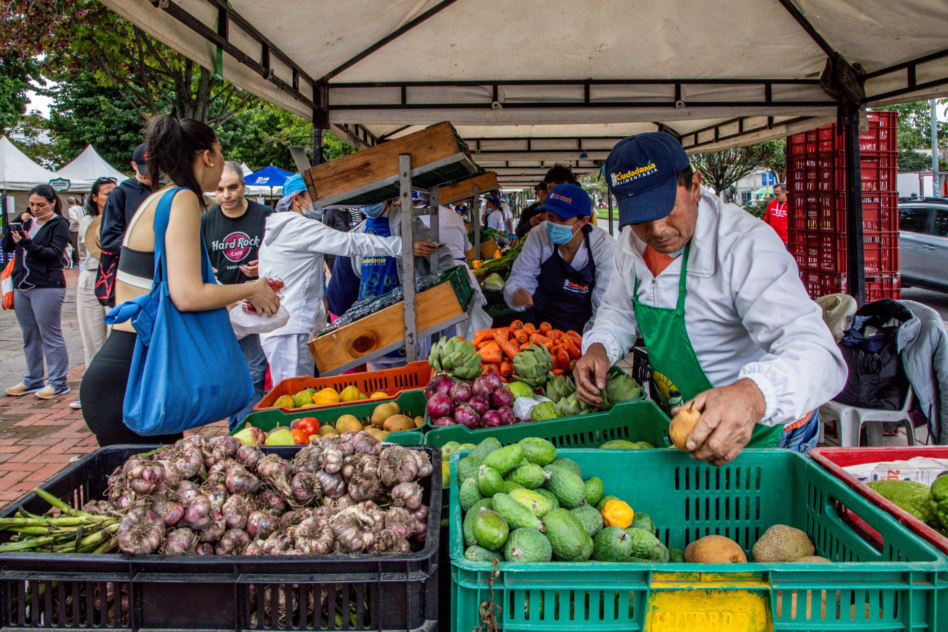 Imagen relacionada con mercados y productos campesinos