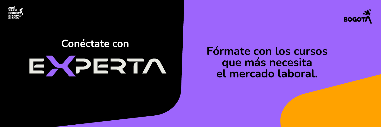 Banner de presentación del programa Experta