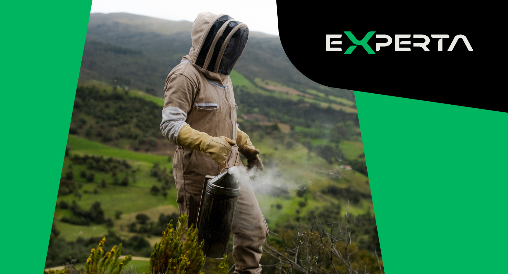 Imagen relacionada con empleos verdes