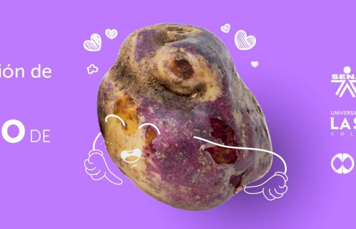 Banner de presentación sobre convocatoria de semana PDA