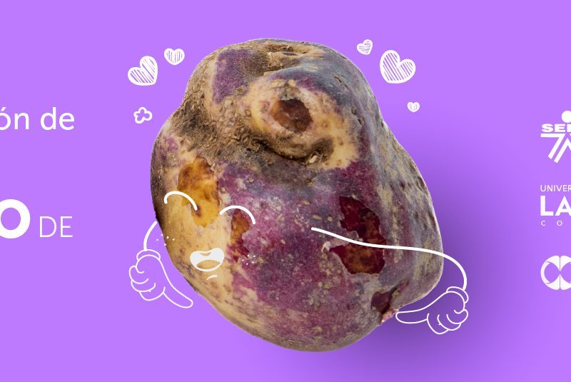 Banner de presentación sobre convocatoria de semana PDA