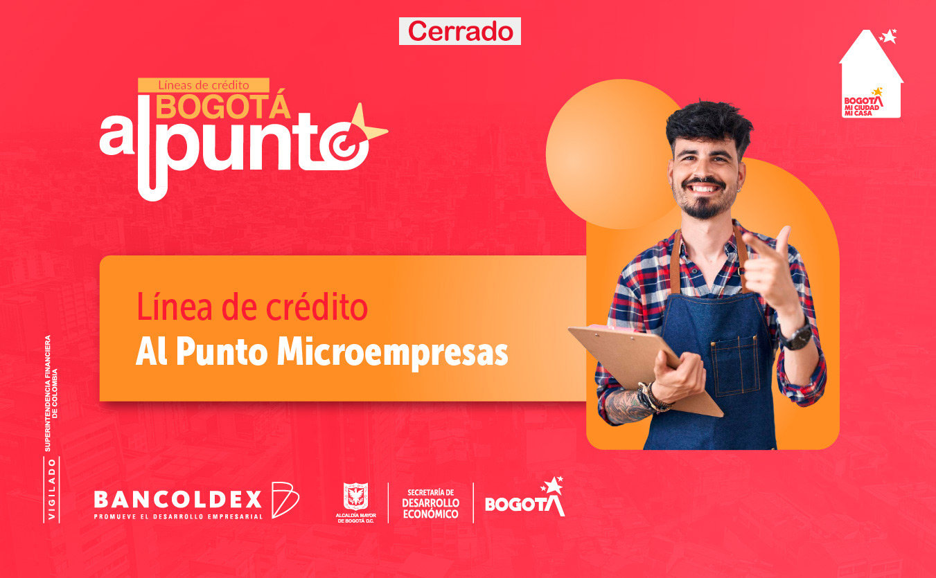 Al-punto-microempresas-web