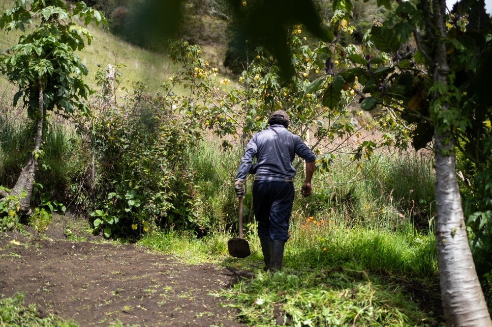 Imagen relacionada con un productor rural que camina por un sendero natural