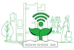 Imagen relacionada con una planta