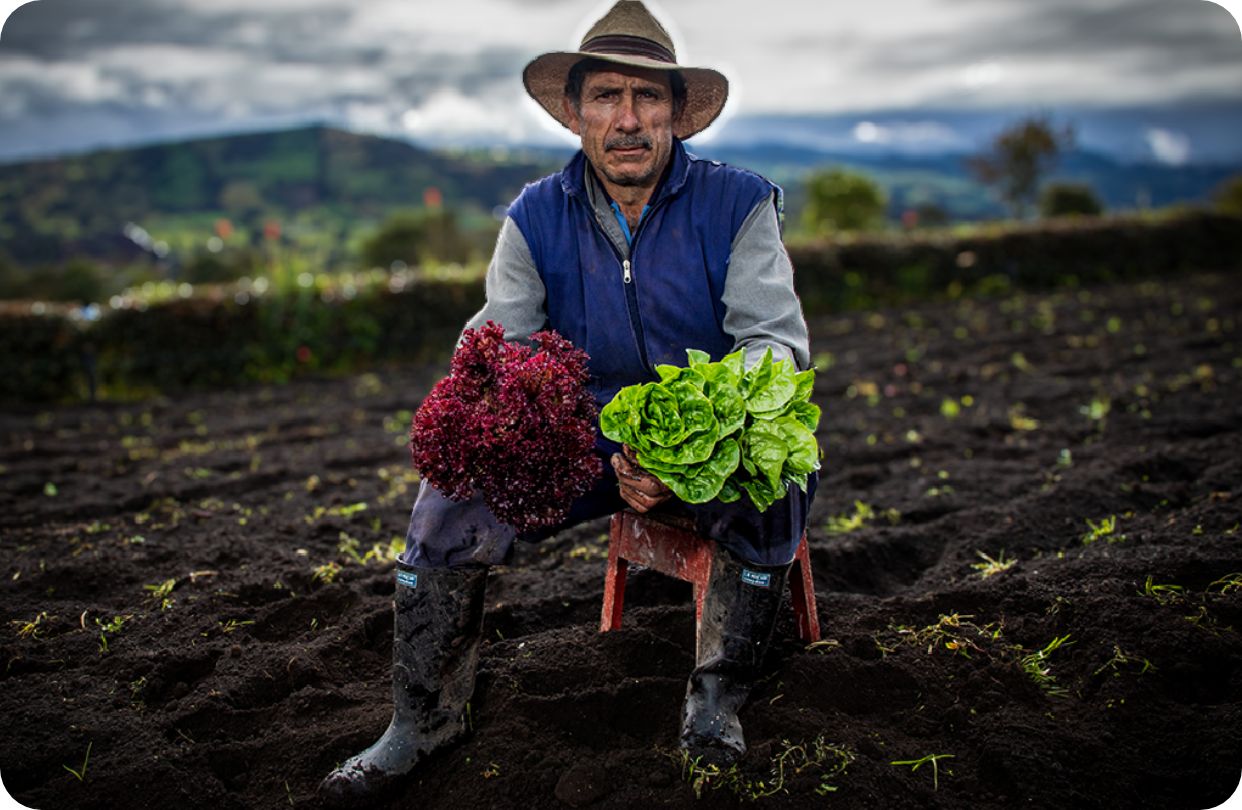 Conecta con nuevos clientes