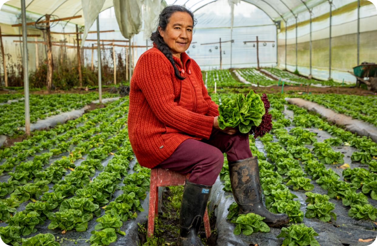 Creditos y financiación