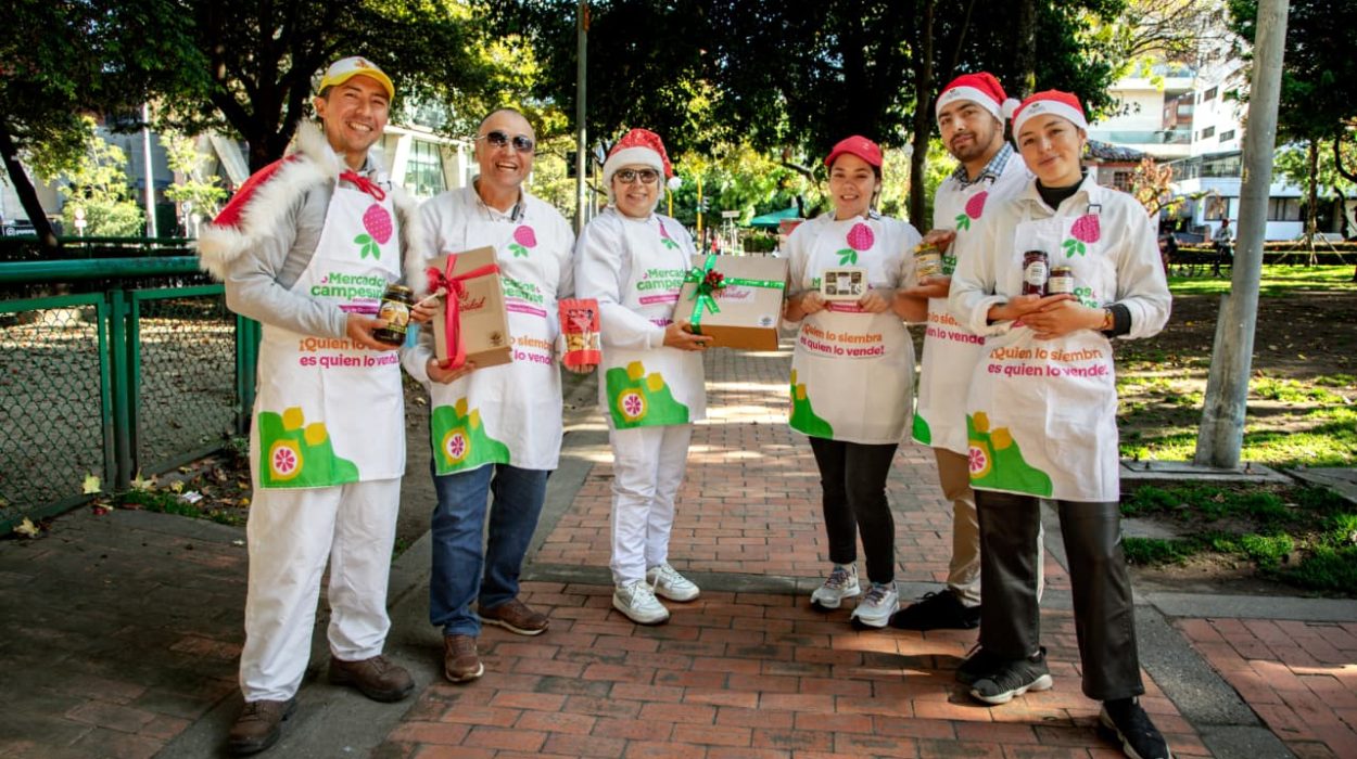 Imagen relacionada con mercados campesinos navideños