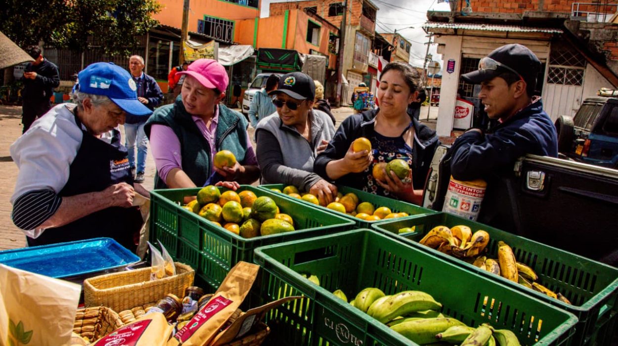Imagen relacionada con actividades de comercio en una plaza de mercado