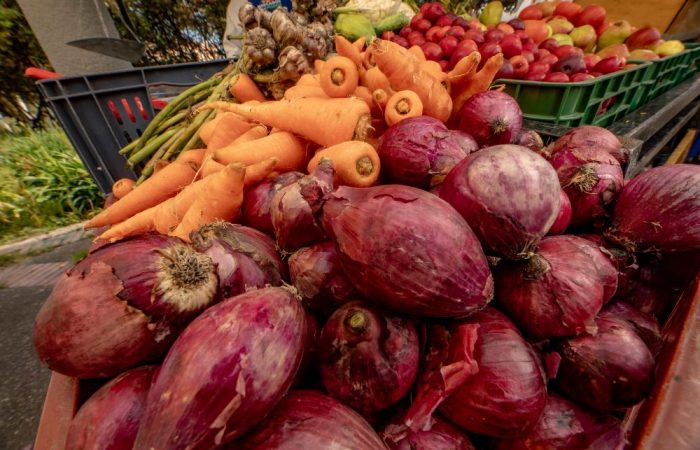 Imagen relacionada con productos de despensa campesina