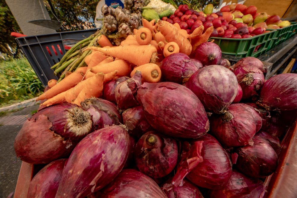 Imagen relacionada con productos de despensa campesina