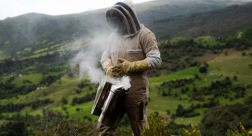 Persona usando ahumador en la naturaleza