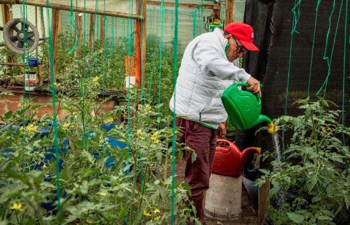Imagen relacionada con un productor rural en un vivero