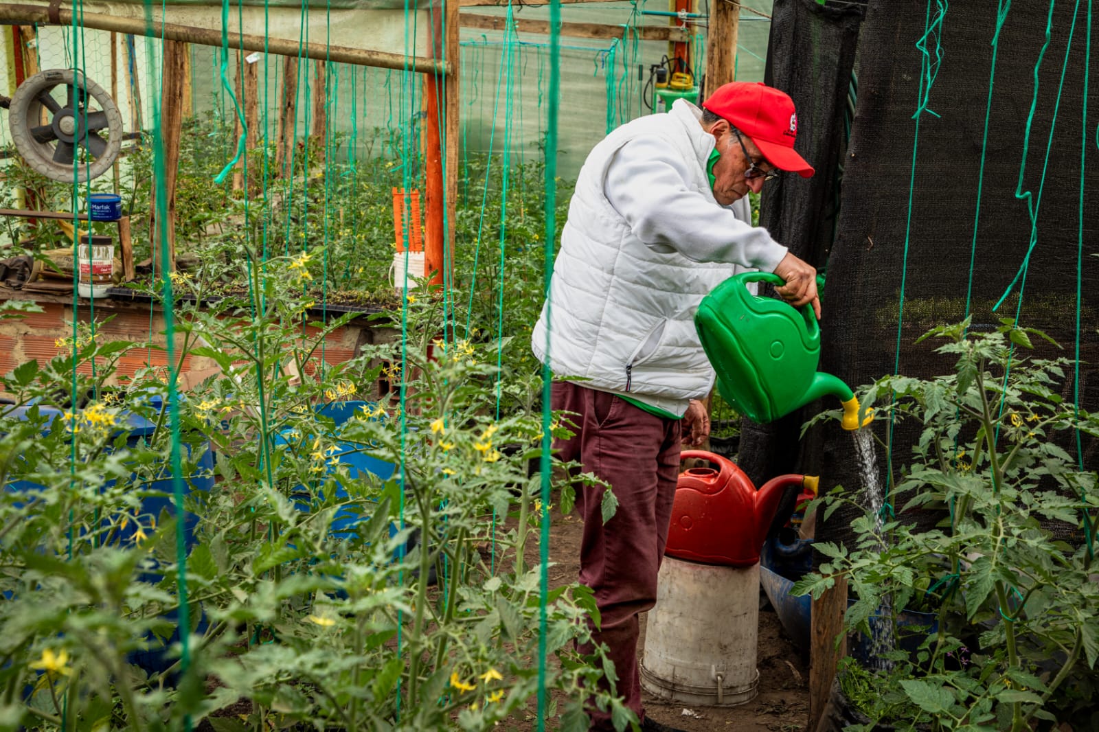 Imagen relacionada con un productor rural en un vivero